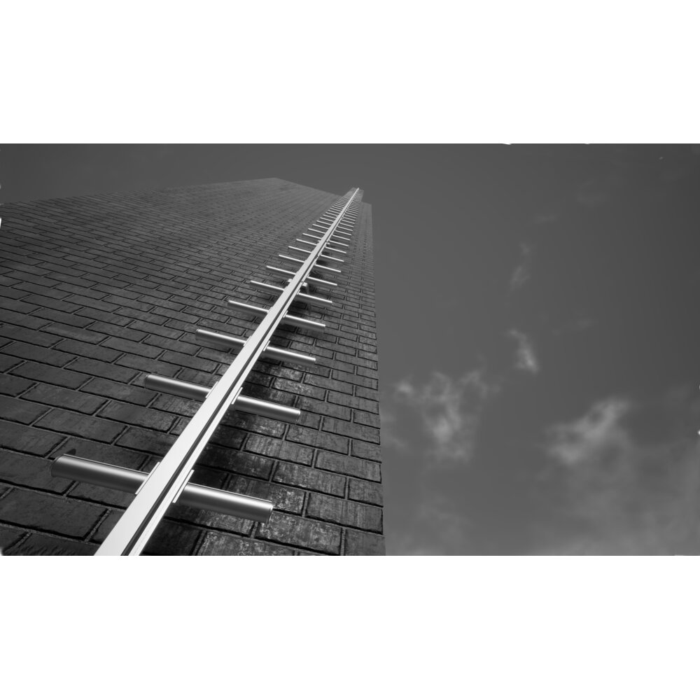 AC520 - Facade ladder with an integrated vertical safety system