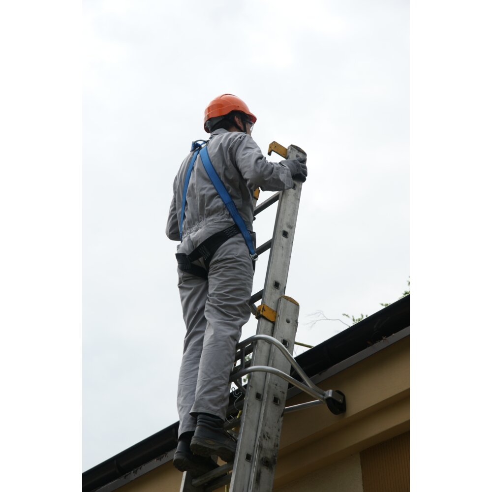 DS 802 - Ladder support